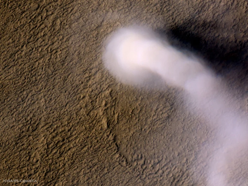 A Recent Impact in Elysium Planitia (Mars)
