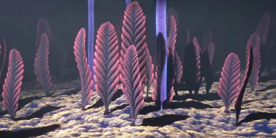 ediacara-fauna
